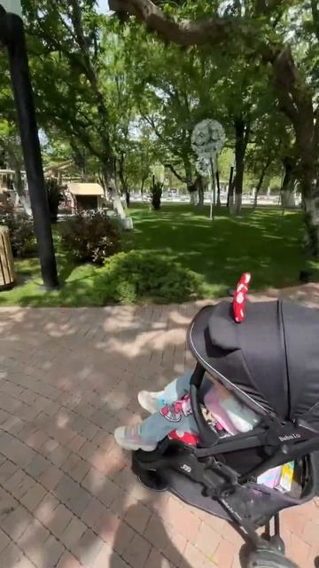 КАБАРДИНКА ВЕСНОЙ 2026