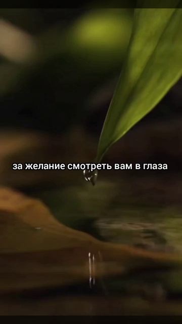 Все к лучшему