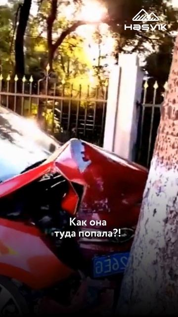 Когда GPS до последнего уверял...