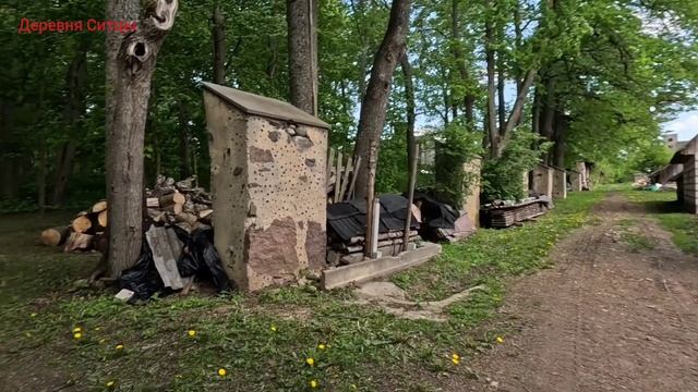 Велосипед, солнце, асфальт часть 6 #ActiveVibesBelarus #Беларусь #природа #путешествие #вело
