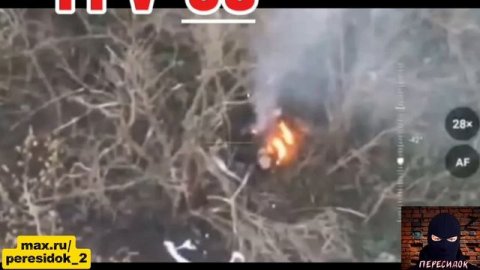 Математика для ВСУ: сколько будет умножение на ноль