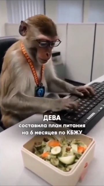 #знакизодиака #скоролето #юмор