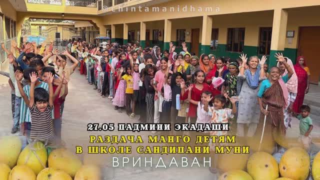27 мая. Падмини экадаши. Раздача манго детям в школе Сандипани Муни