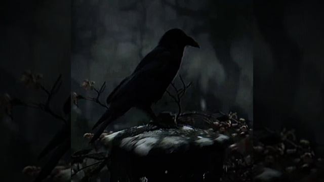 1000115428.mp4
