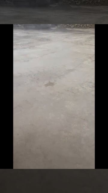 Пылеподавление