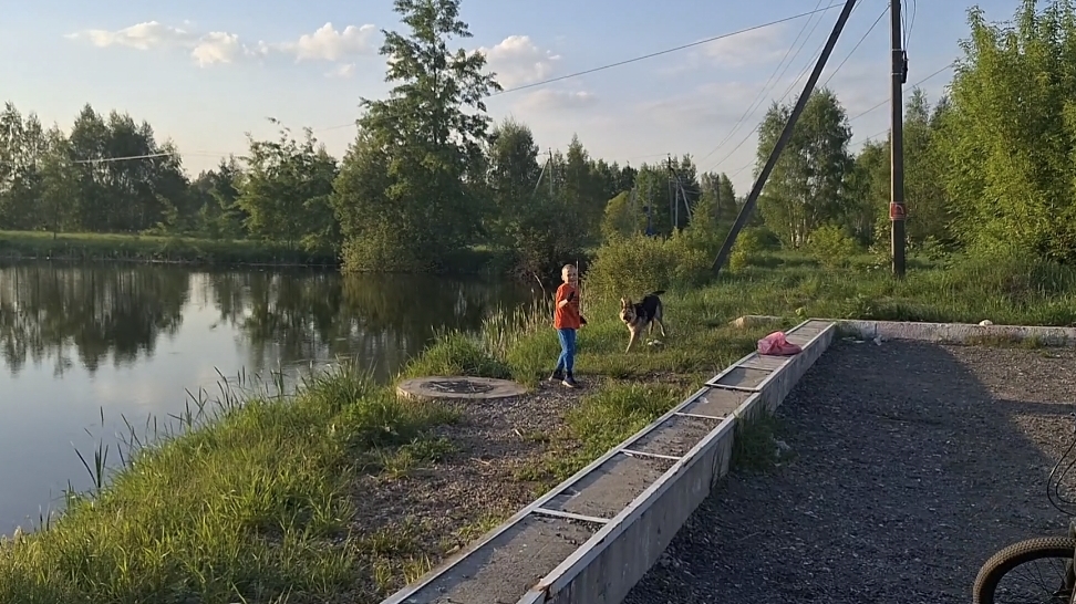 Очень ВАЖНЫЙ день/ Готовлю пиццу/ Сажаю мяту/Покупки Вайлдберриз