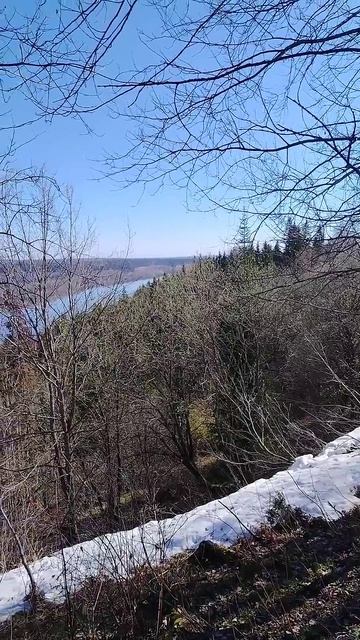 Весна половодье 02.05.26.