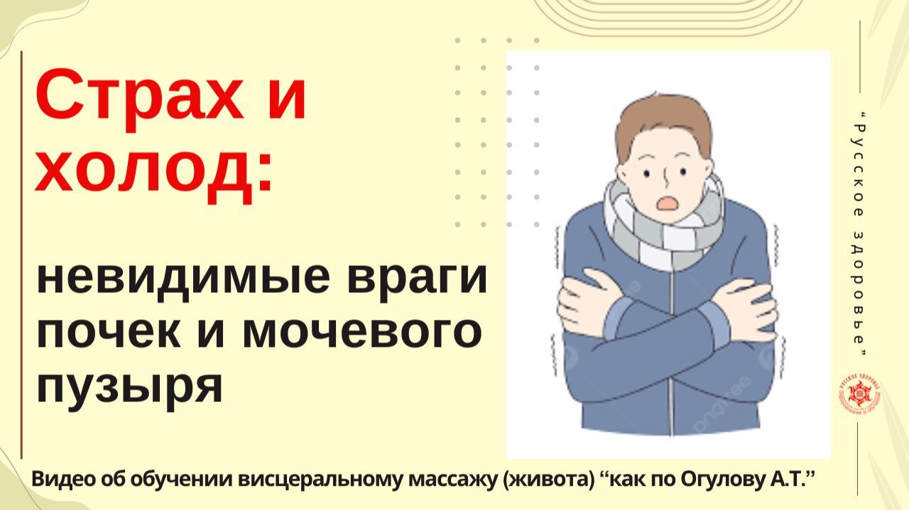 Страх и холод: невидимые враги почек и мочевого пузыря. Видео об обучении висцеральному массажу