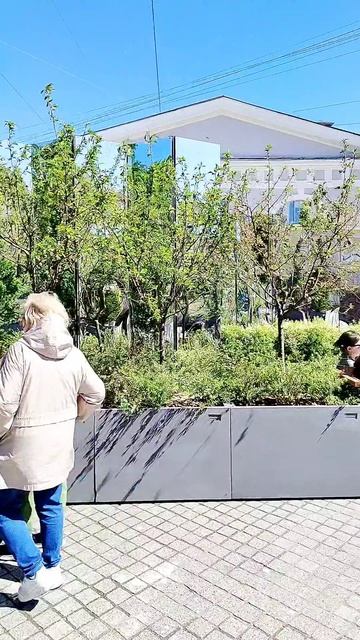 Садик у Манежа в Петербурге