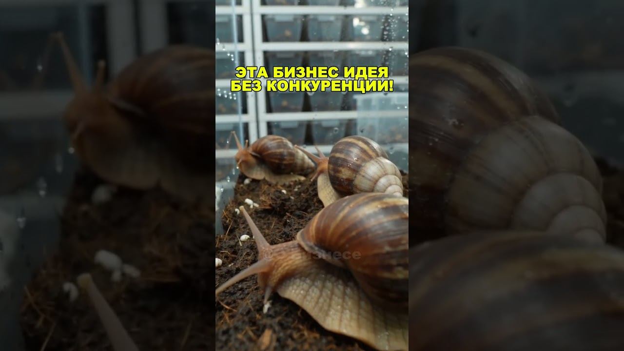 ЭТО УНИКАЛЬНАЯ БИЗНЕС ИДЕЯ С НУЛЯ! Бизнес идеи! Бизнес 2026!