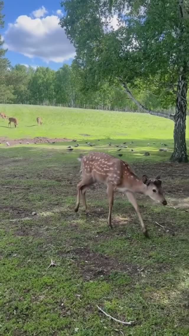 🤗