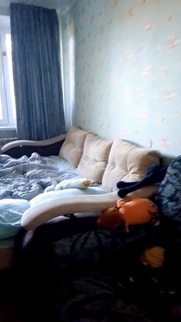 показал свою комнату