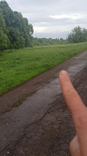 Покос продолжается 🤪☝