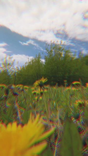 Такой май. Мой май 🌿