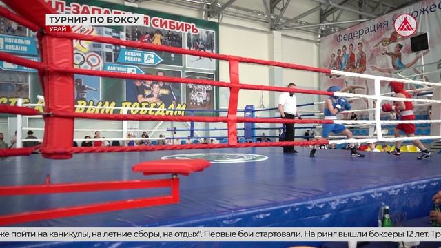 Открытие регионального турнира по боксу в Урае. 28-05-2026