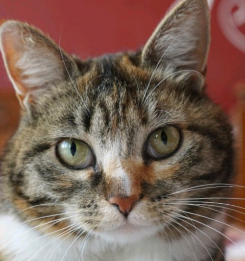 что это было????