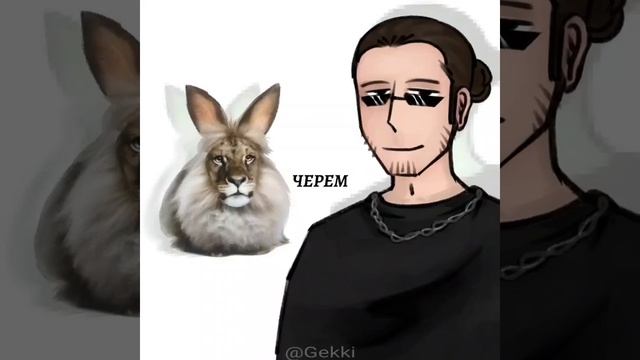 Черемша