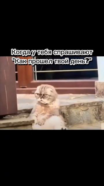 Рассказывайте, как прошел ваш день?