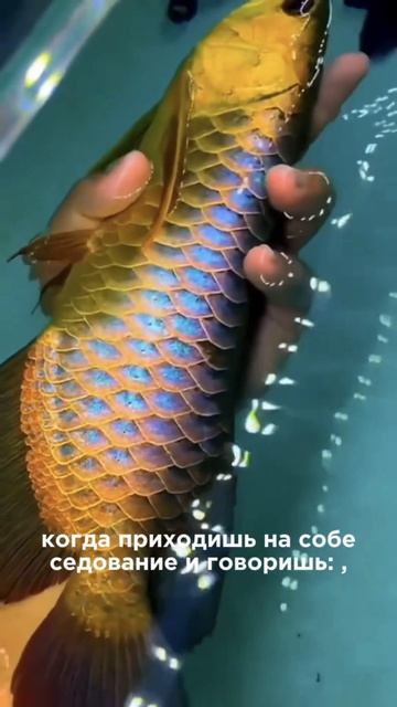 Ошибка, из‑за которой вы теряете рыбу(проверьте себя)