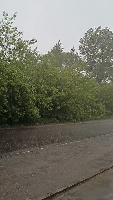 Запах счастья.