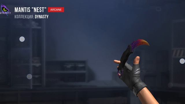 1000001009.mp4