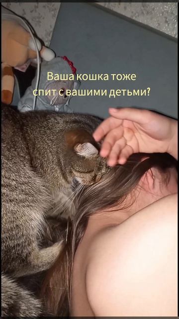 Коты и дети.