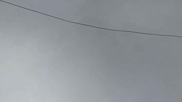 1000089031.mp4