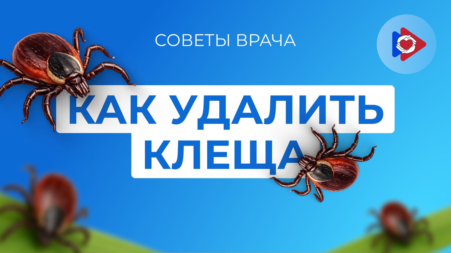 Советы врача. Как удалить клеща!
