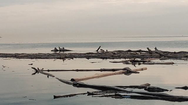 Море 🌊, закат, костёр: пляжные беседы, мудрости жизни. Агрессия человека как природный феномен 🤔