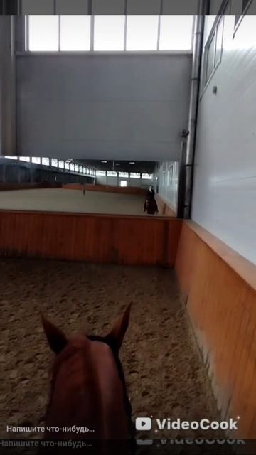 1000108254.mp4