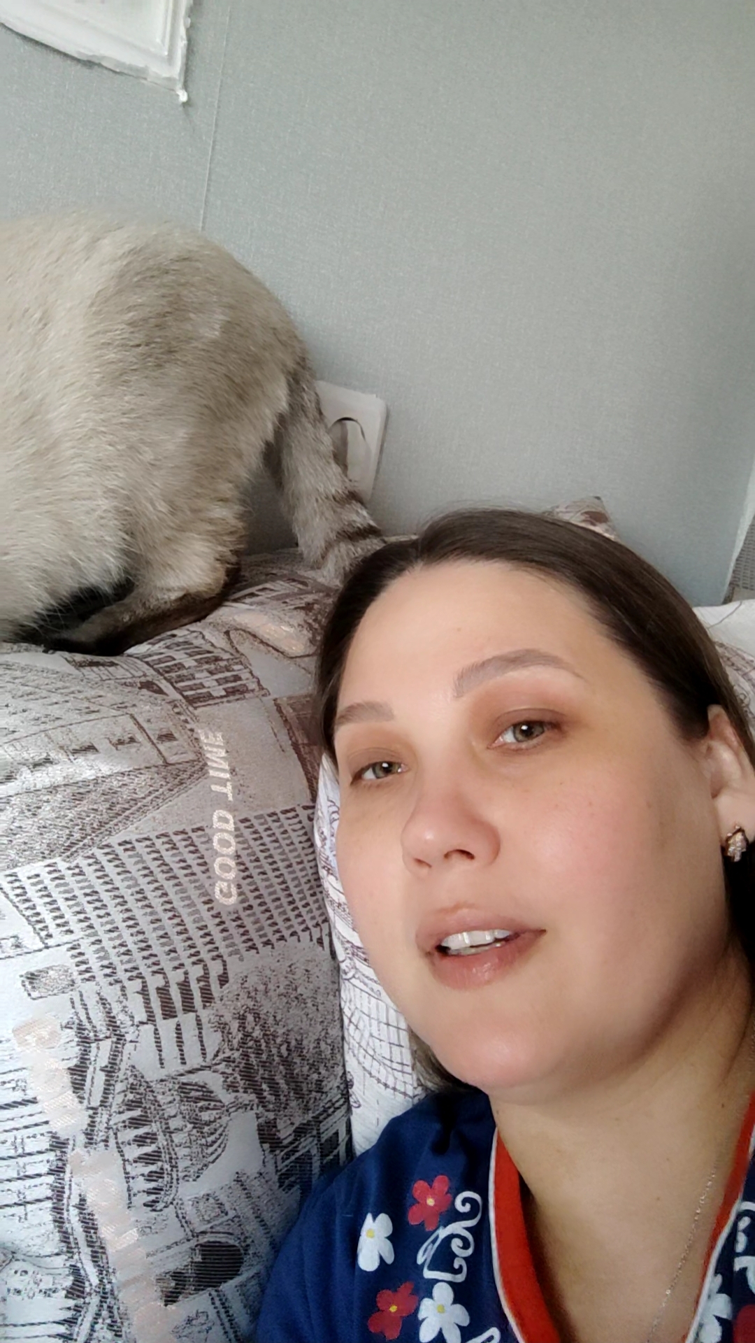 😸РАБОТЯГА🤪 Подпишись🤗 #cat #shorts #смешнынкоты #кот