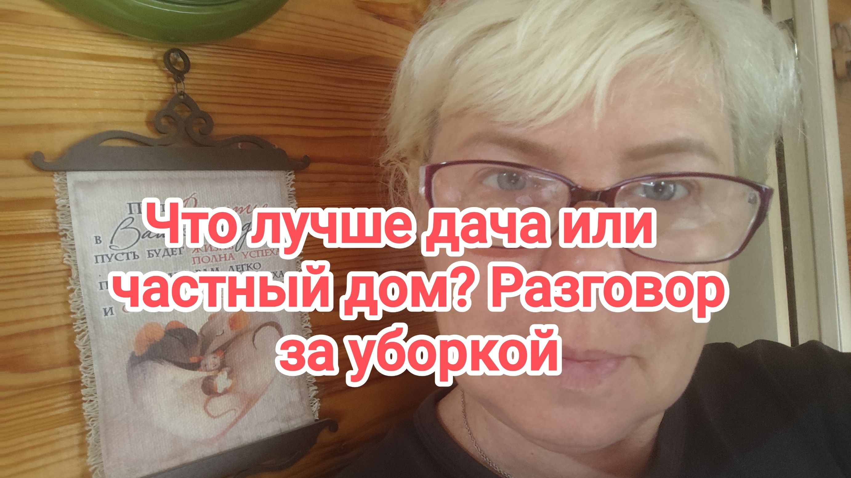 Что лучше иметь дачу или частный дом в деревне?Разговор за уборкой 28-05-2026