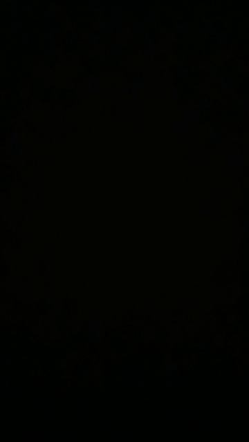 43133.mp4