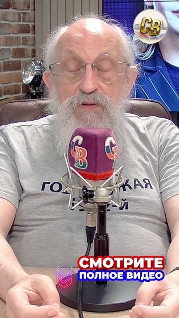 Прибалтийский чихуахуа