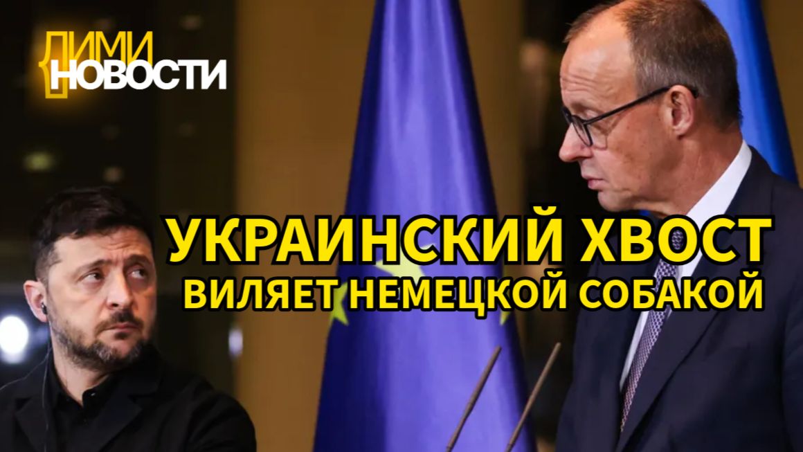 Bloomberg: Зеленский отказался от предложения Мерца по вступлению Украины в ЕС.