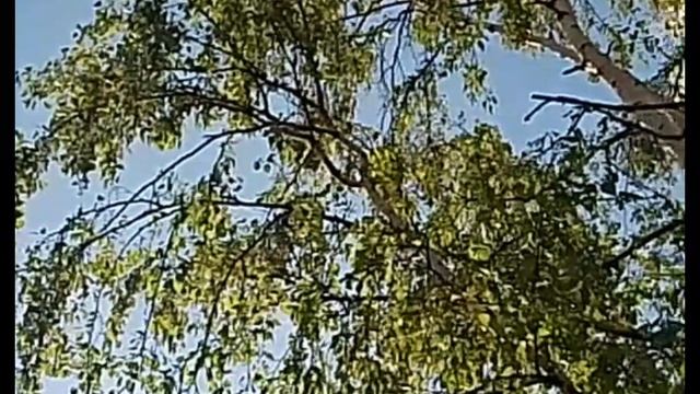 У нас первая гроза 28 мая!