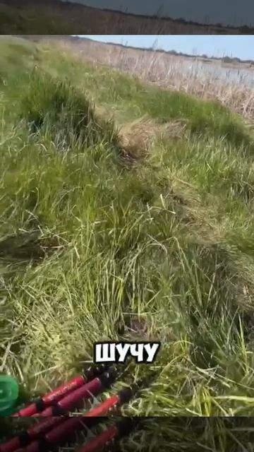Шикарная рыбалка! Трофейный Лещ!