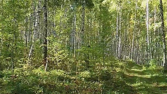 Лето!