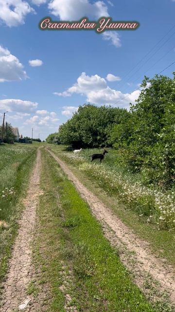 Поездка в деревню