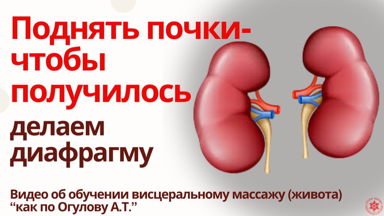 Поднять почки- чтобы получилось, делаем диафрагму. Видео об обучении висцеральному массажу