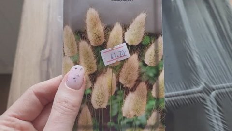 Сажайте лук так!Обновки для дачи!Борюсь с ней не первый год! Дачный влог