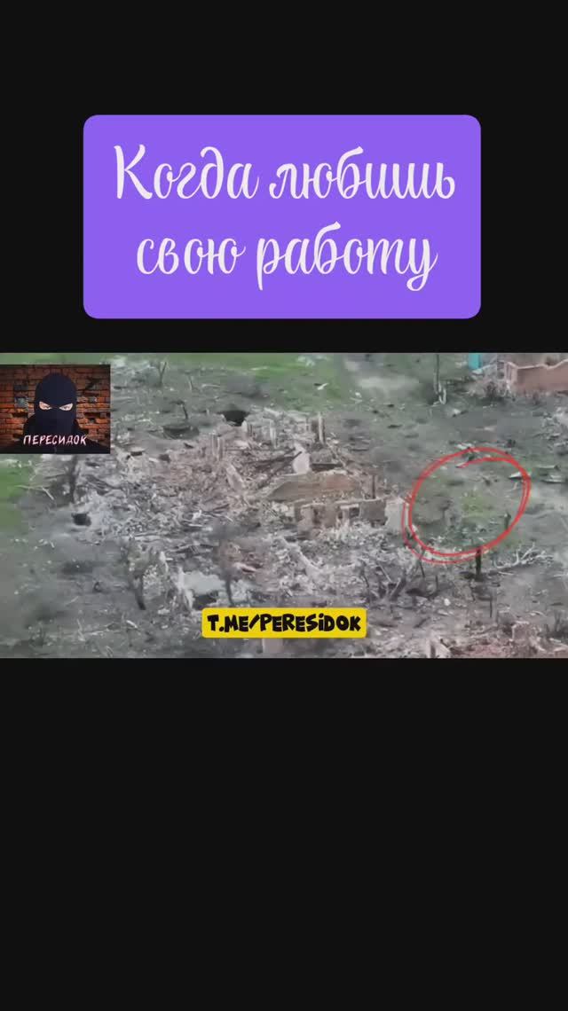 Когда нашёл работу своей мечты