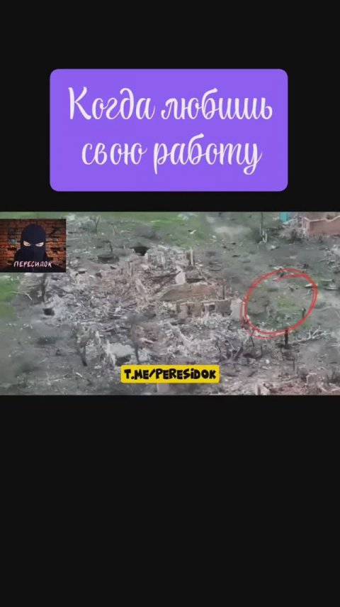 Когда нашёл работу своей мечты
