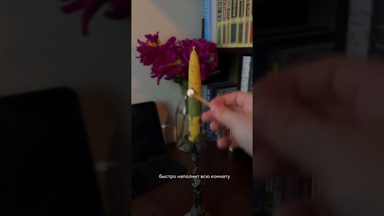 тг: лисьи свечки