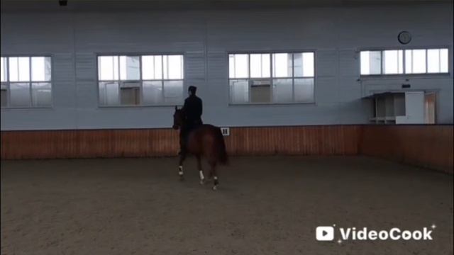 1000108253.mp4