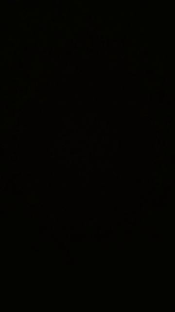 43136.mp4