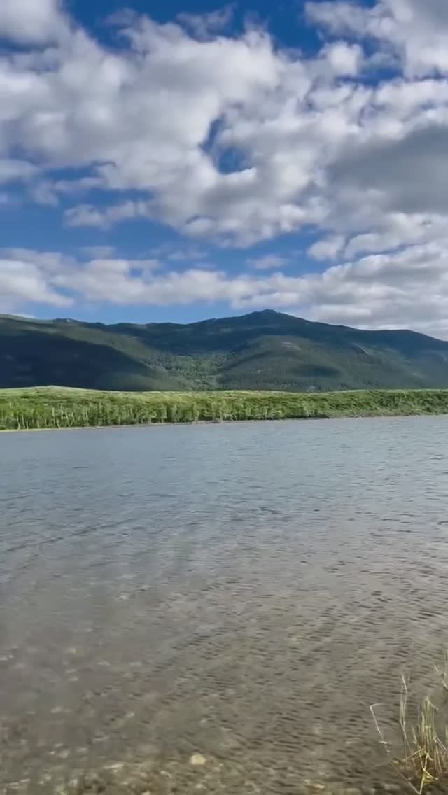 🤗