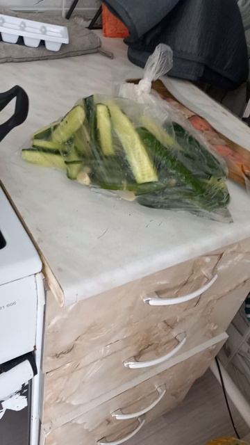 день 28 мая в моментах🙂