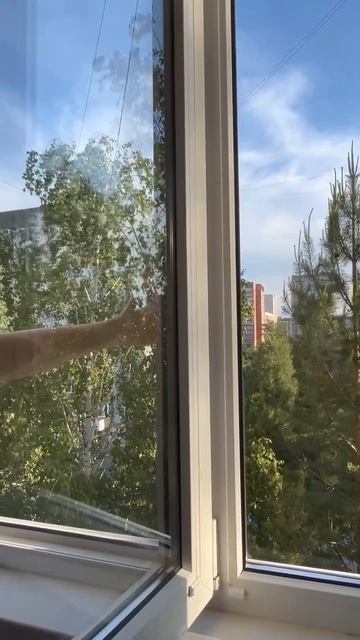 Мыть окна без снятия москитной сетки — реально 🔥