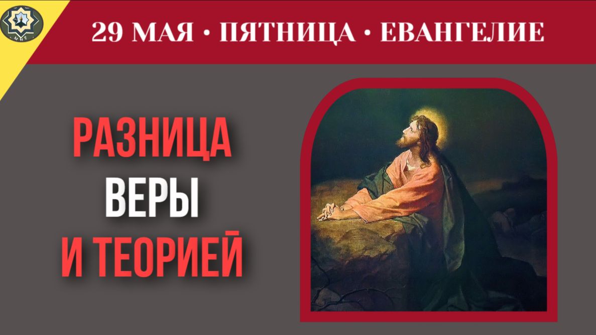 Почему знание догматов не имеет смысла без жертвенной любви к ближнему I 29 мая